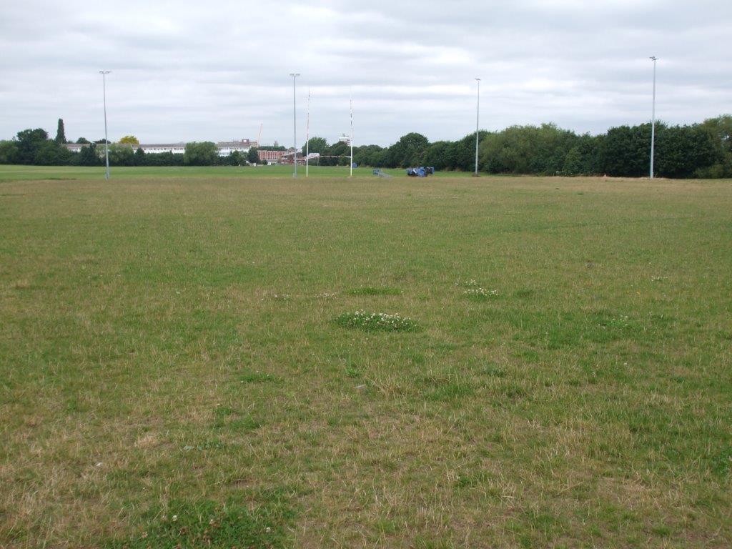 2010 Royal Borough of Windsor and Maidenhead, Braywick Sport ground