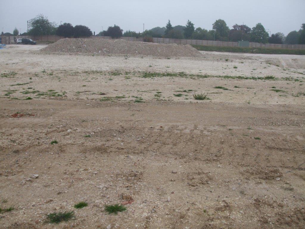 2016 Luton Borough Council, Challney Boy’s School 